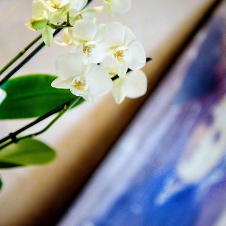 La Sainte Famille Ξενοδοχείο Λούρδη Εξωτερικό φωτογραφία